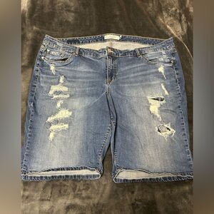 Torrid size 26 distressed Bermuda denim shorts-see all photos